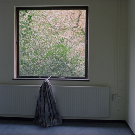 Jeroen Arians