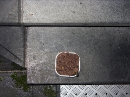 Jeroen Arians