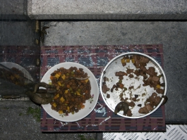 Jeroen Arians