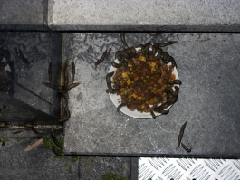Jeroen Arians